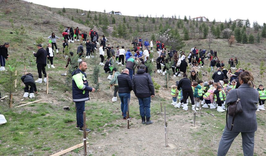 Mamak’ta yeşil gelecek için fidan seferberliği