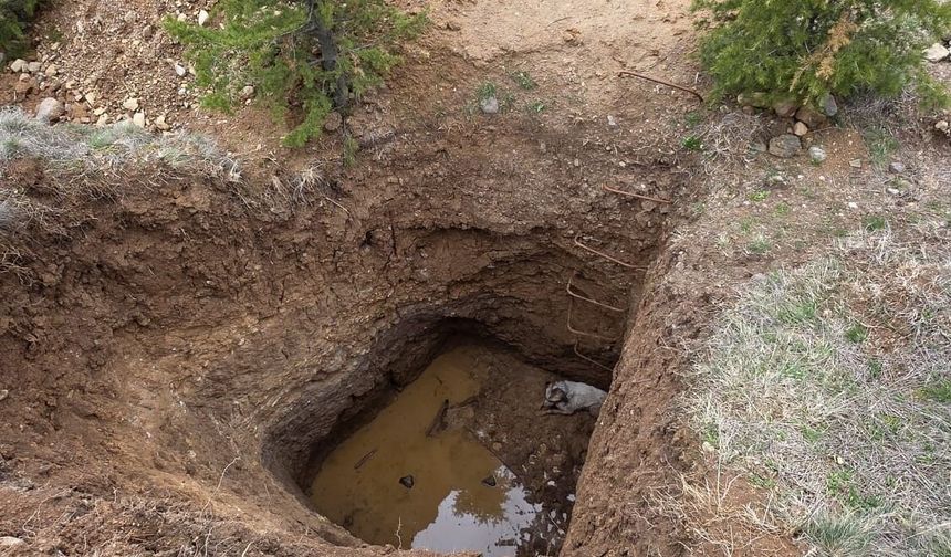 Akyurt'ta kaçak kazı çukuruna düşen köpek kurtarıldı