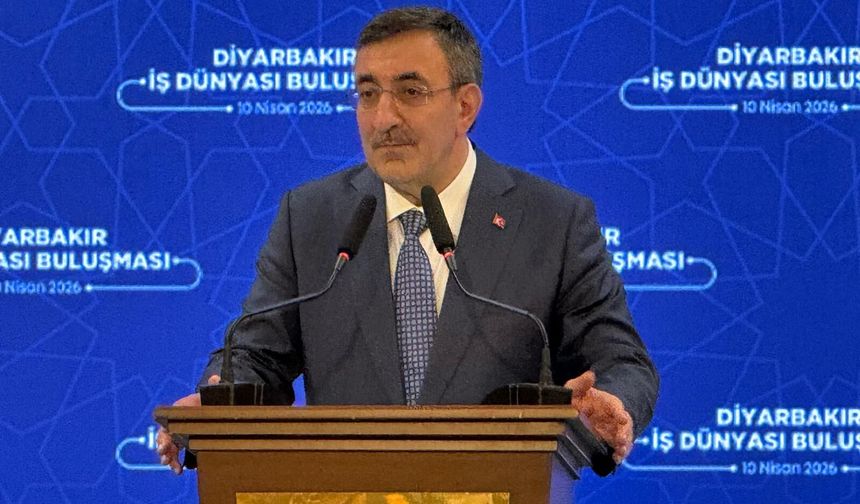 Cevdet Yılmaz: Demokratik standartlar silah bırakmanın şartı olamaz