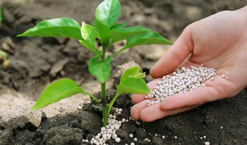 Gübre ithalatında vergi sıfırlandı