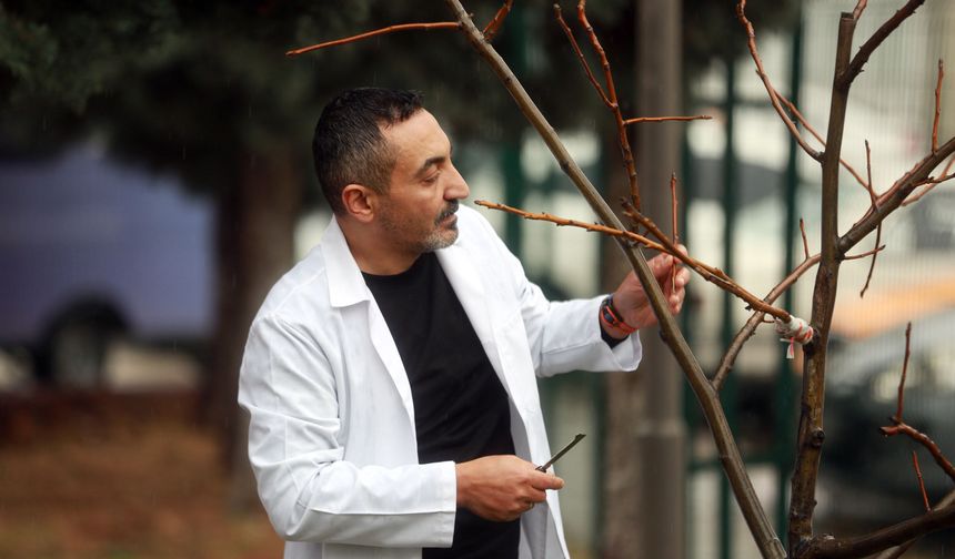 Yenimahalle’de bahçe bitkileri kursuna yoğun ilgi