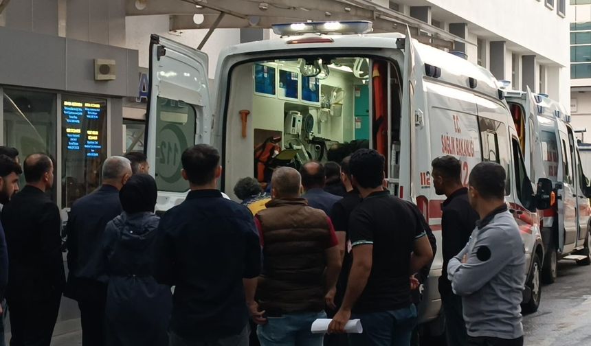 Beşiri’de yıldırım isabet eden çoban kurtarılamadı