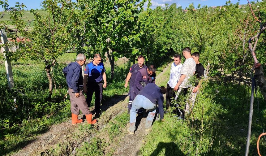 Akyurt'ta ahırdan kaçan kurbanlık uzun uğraşlarla yakalandı