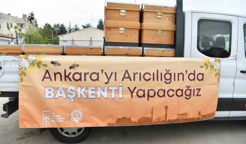 ABB’den arıcılara 5 bin kovan desteği