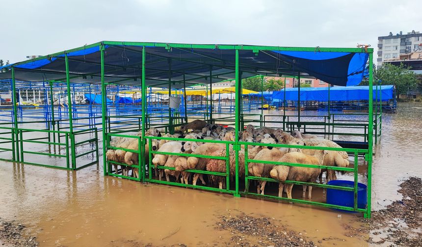 Adana’da sağanak yağış hayvan pazarını göle çevirdi
