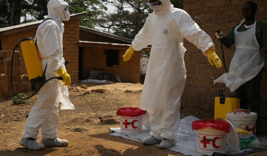 DSÖ’den Ebola salgını için acil durum kararı