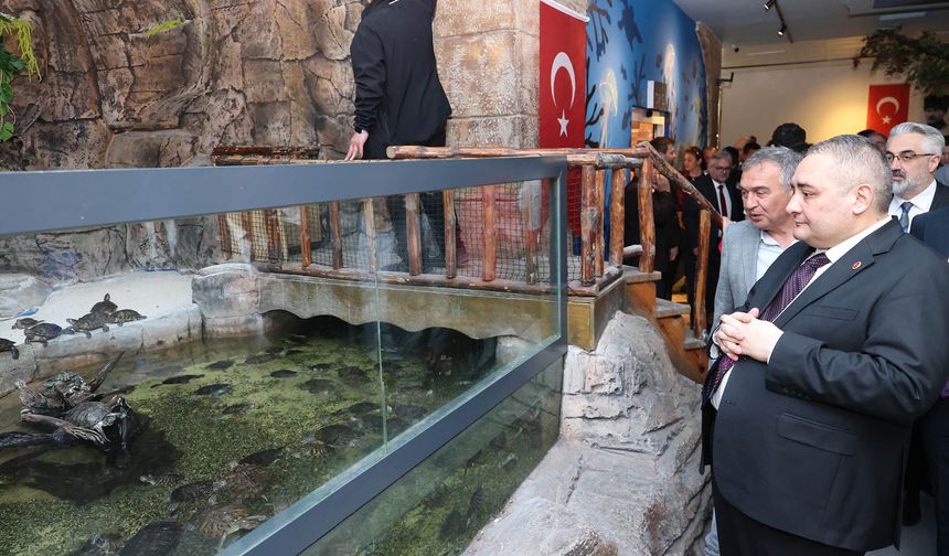 Keçiören Deniz Dünyası Yenilenen Yüzüyle Açıldı