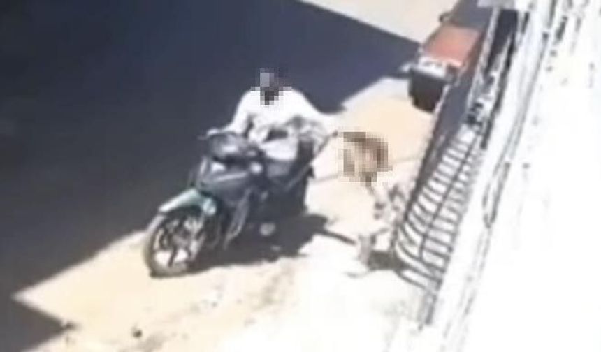 Gaziantep’te çocuğa şiddet kamerada
