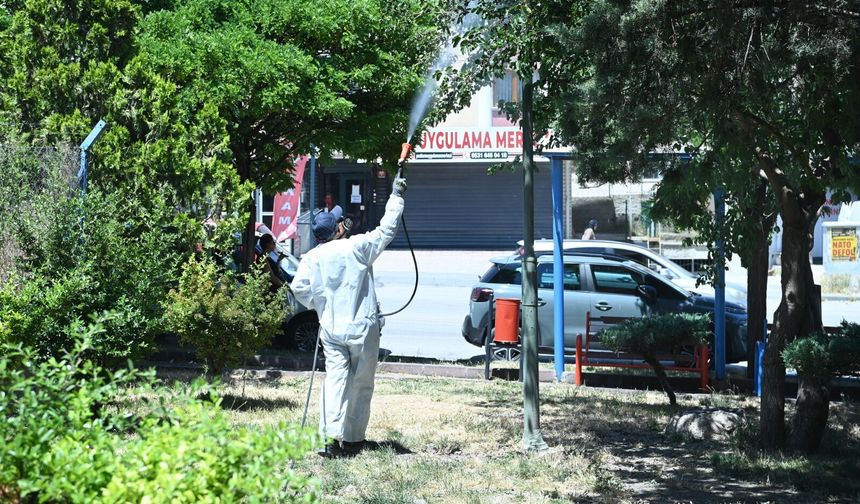 Mamak'ta sinek ve haşerelere karşı ilaçlama sürüyor