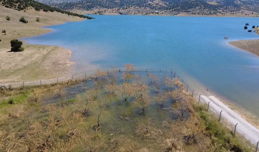 Çekerek Barajı’nda su seviyesi tarımı vurdu