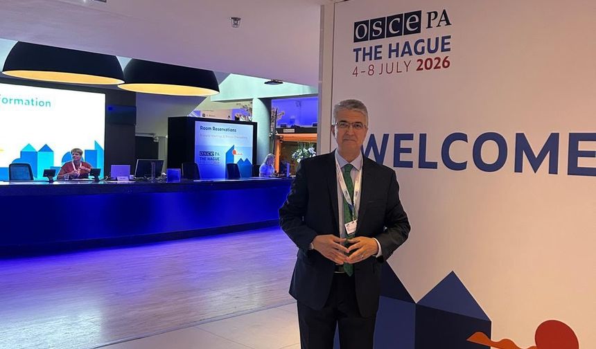 Türkiye’den AGİT PA’ya çevrim içi güvenlik tasarısı