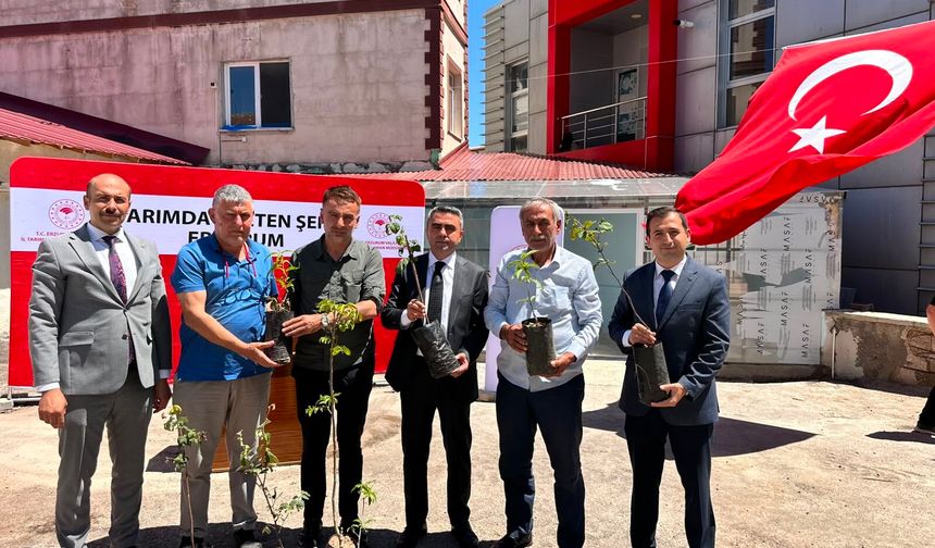Pazaryolu’nda üreticiye fidan ve sera desteği