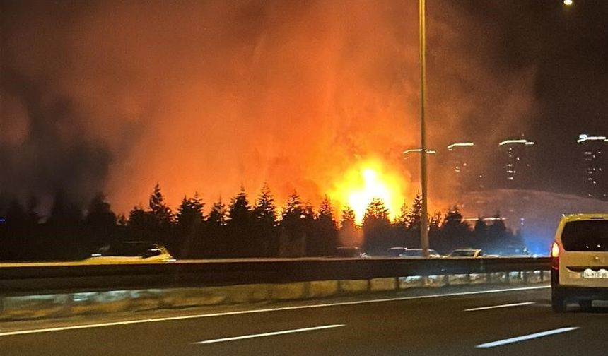 Ankara Yenimahalle'de otluk alanda yangın