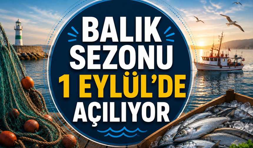 Balık sezonu 1 Eylül'de açılıyor: Hangi balıklar var?
