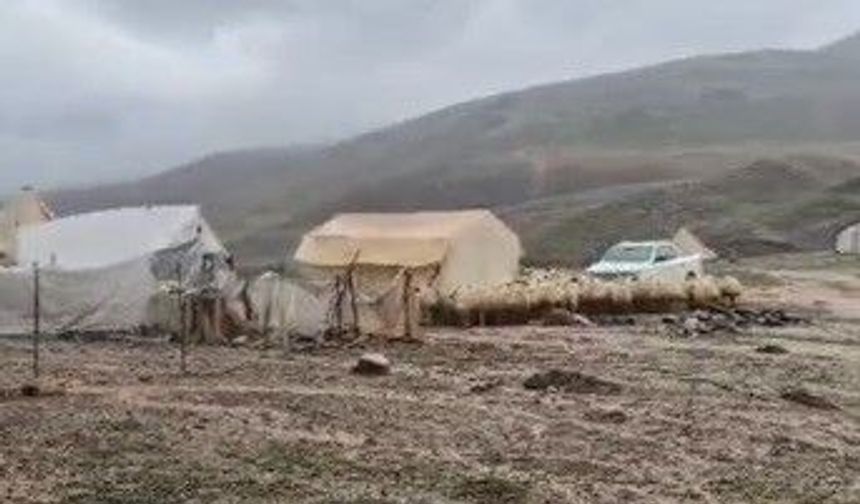 Tunceli'de sağanak sonrası yaylayı sel bastı