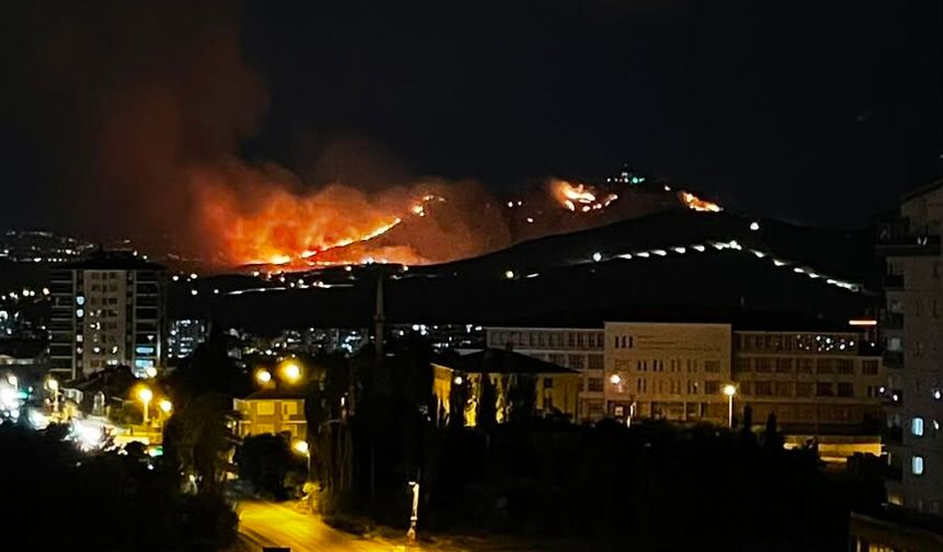 Ankara Mamak’ta ağaçlık alanda yangın
