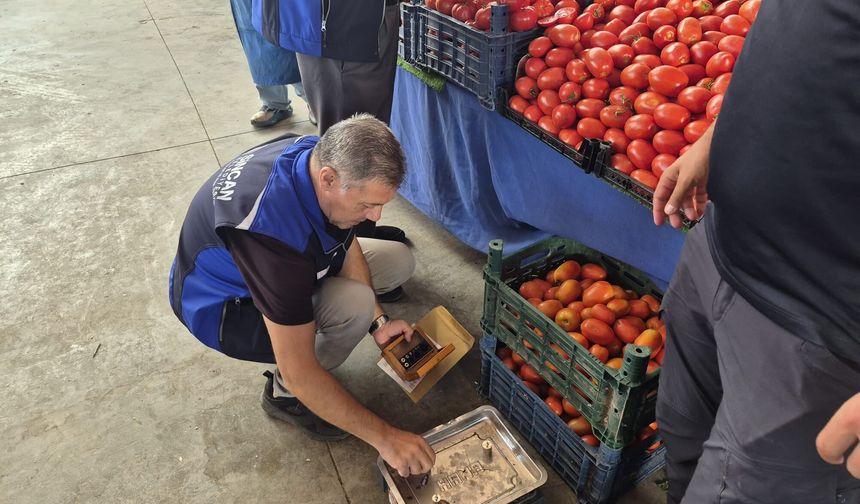 Sincan’da semt pazarlarına kapsamlı denetim