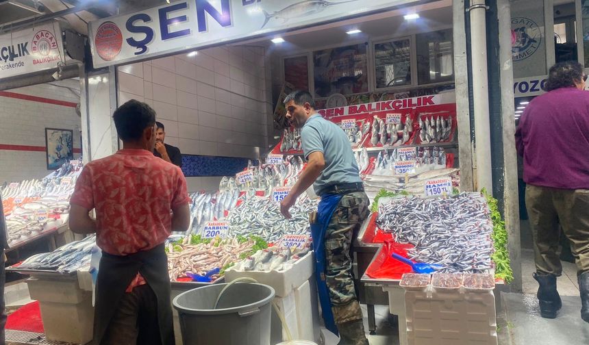 Ankara'da balık sezonu açıldı: Tezgahlar hareketlendi