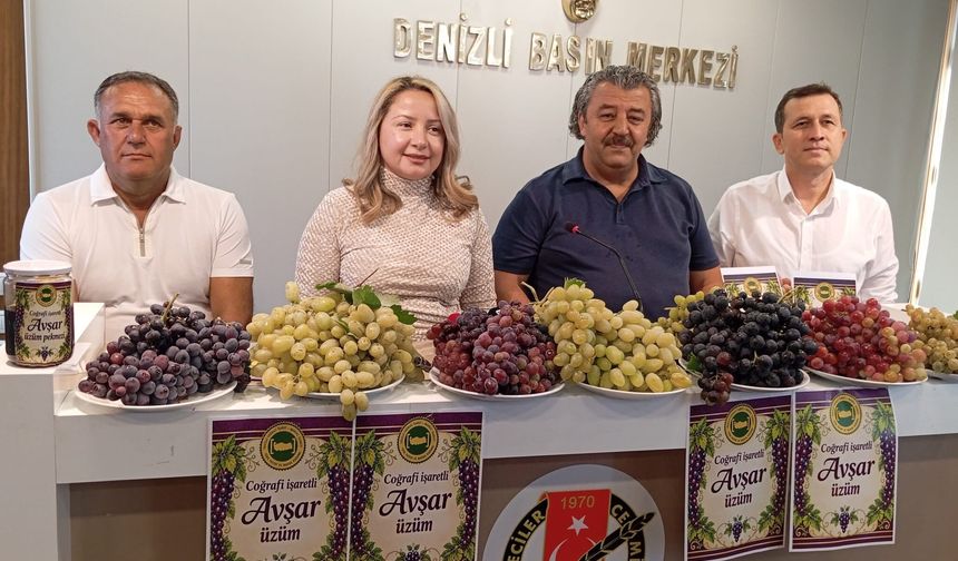 Avşar üzümü tescille taçlandı, festival heyecanı başladı