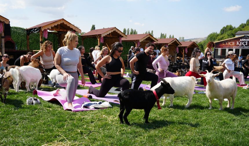 Ankara’da spor etkinliğinin neşesi cüce keçiler oldu
