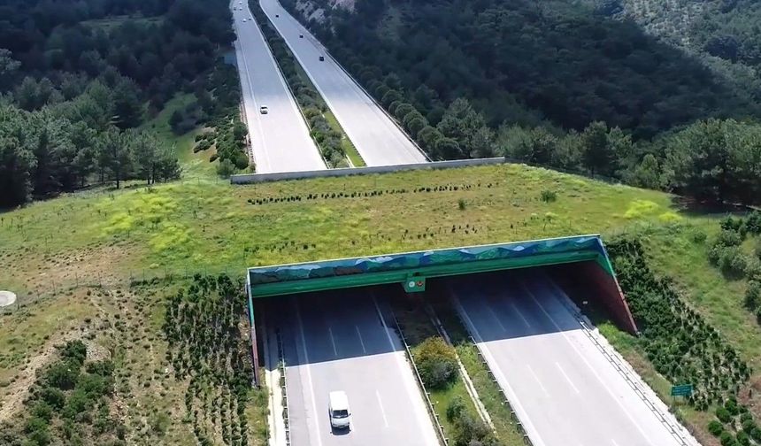 Türkiye'de 21 ekolojik köprü tamamlandı