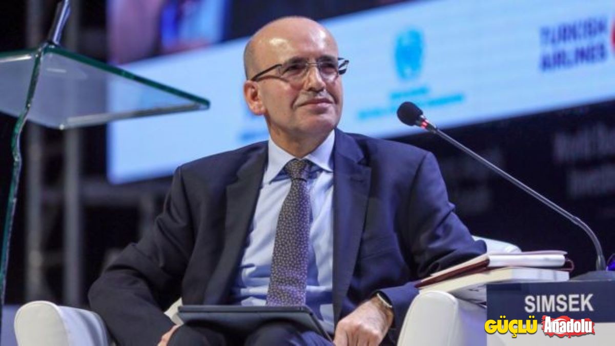 mehmet şimşek