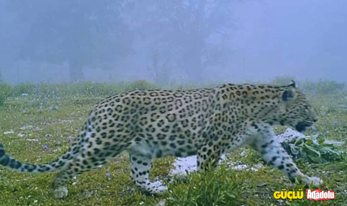 Ekran Resmi 2023-09-08 11.18.17