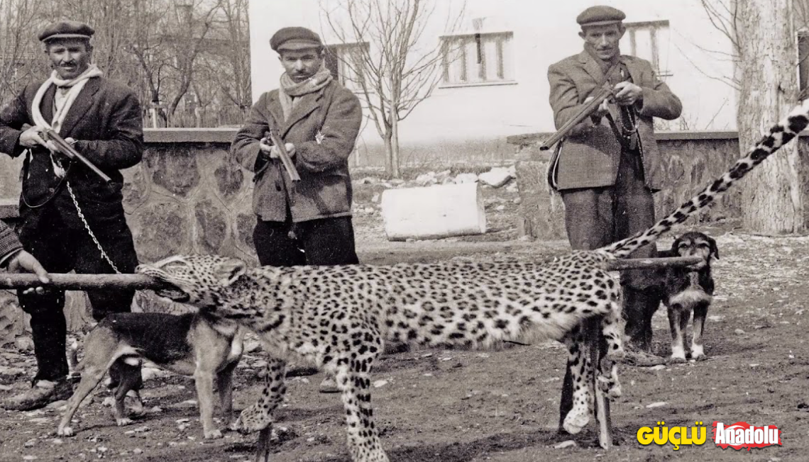 Ekran Resmi 2023-09-08 11.18.39