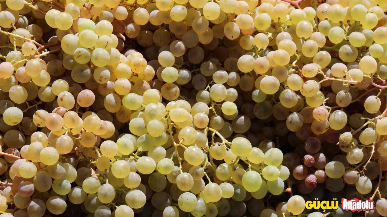 uzum-hasadi-iha-1661888