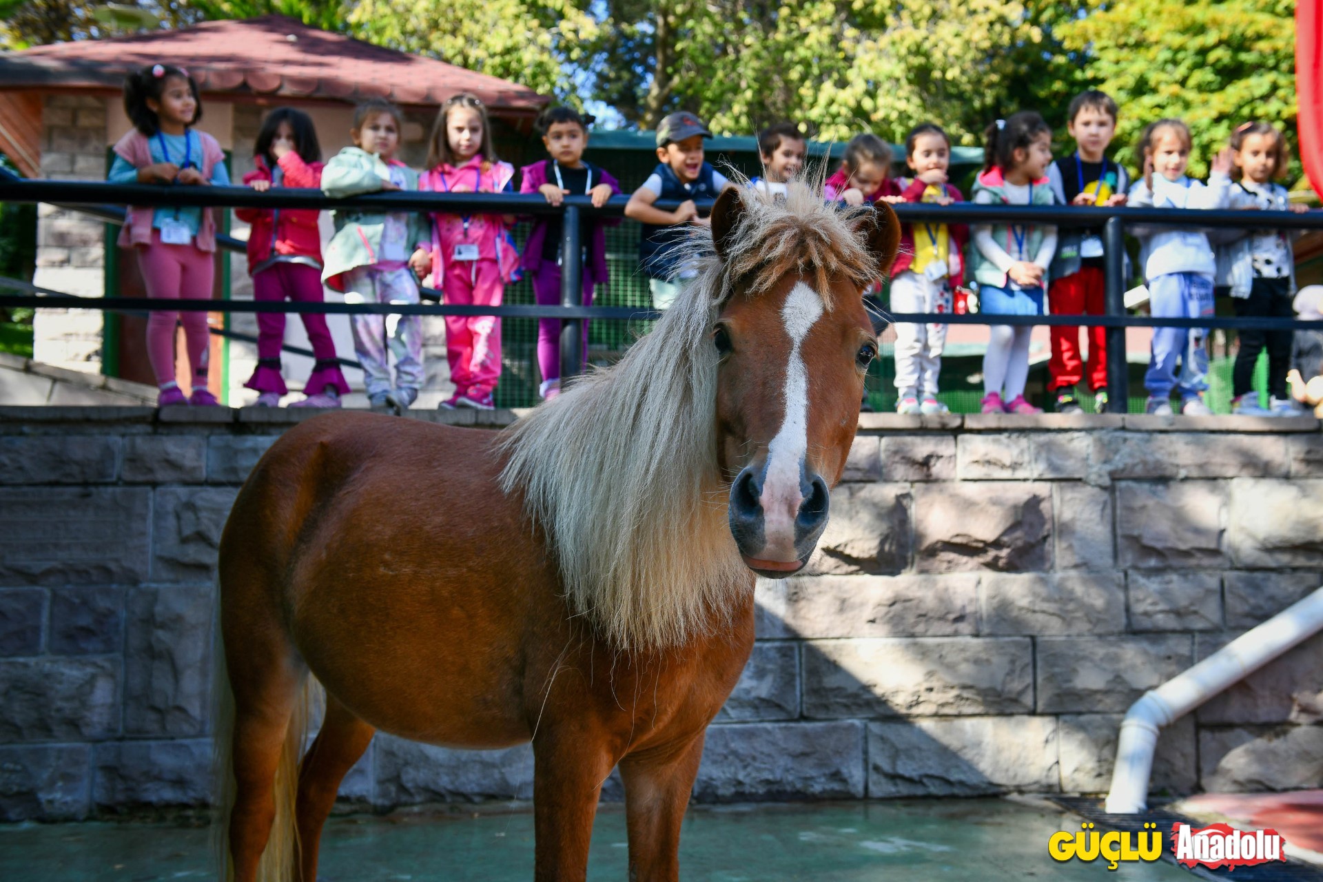 keçiören park (2)