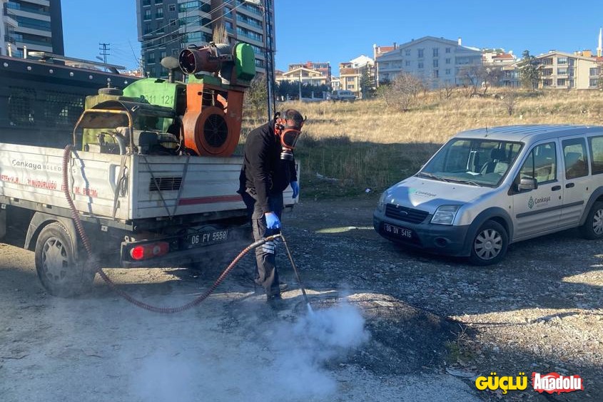 2023 12 19 Veteriner İşleri İlaçlama Birimi (3)