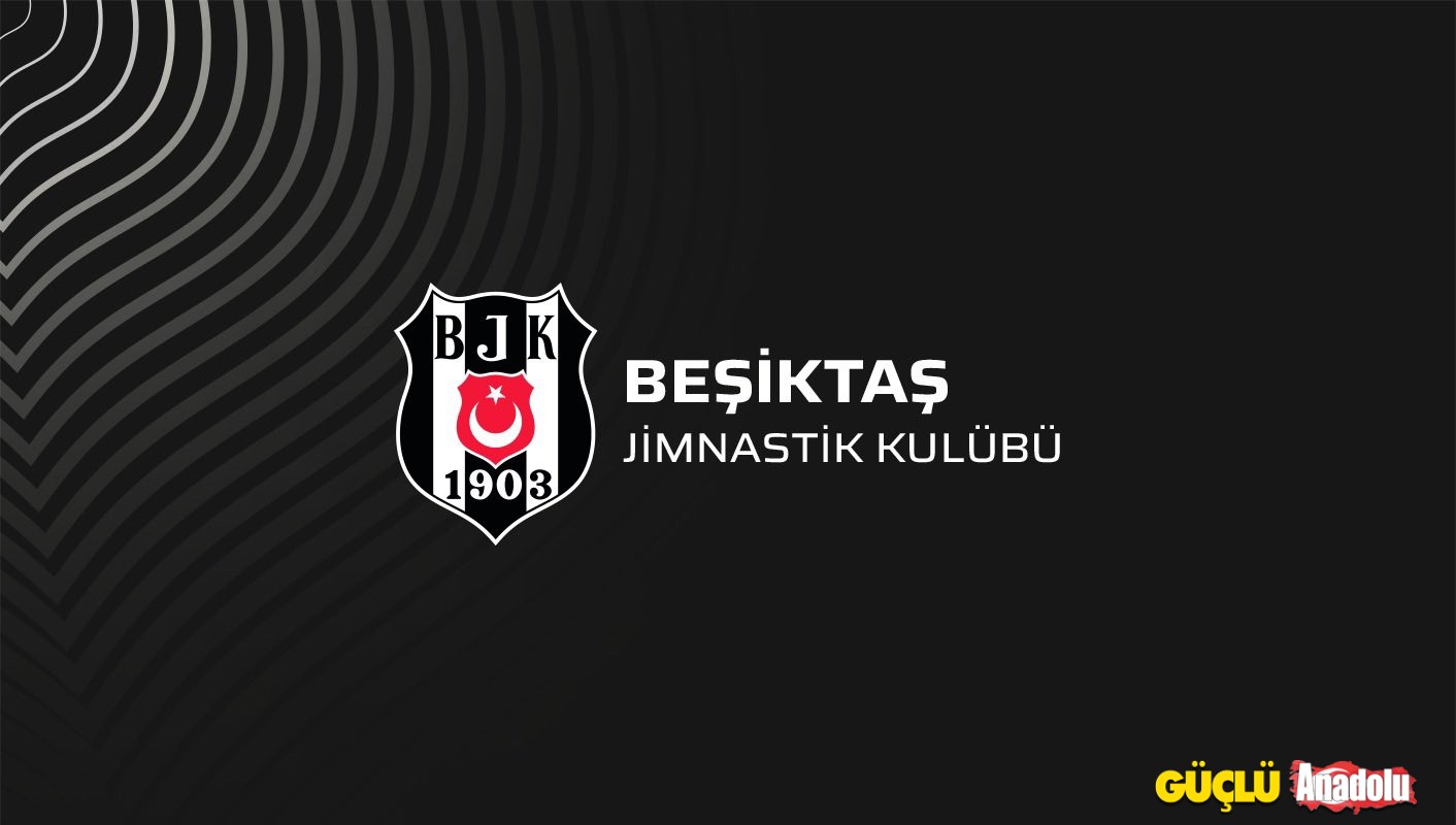 Beşiktaş Resmi