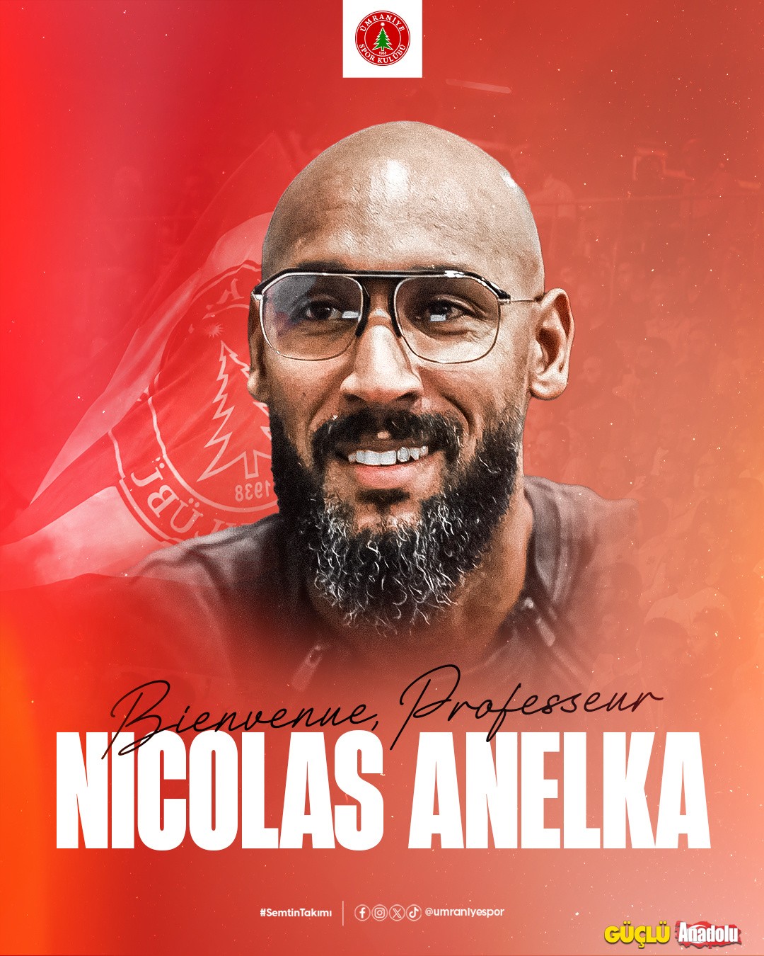 Nicolas Anelka (2)