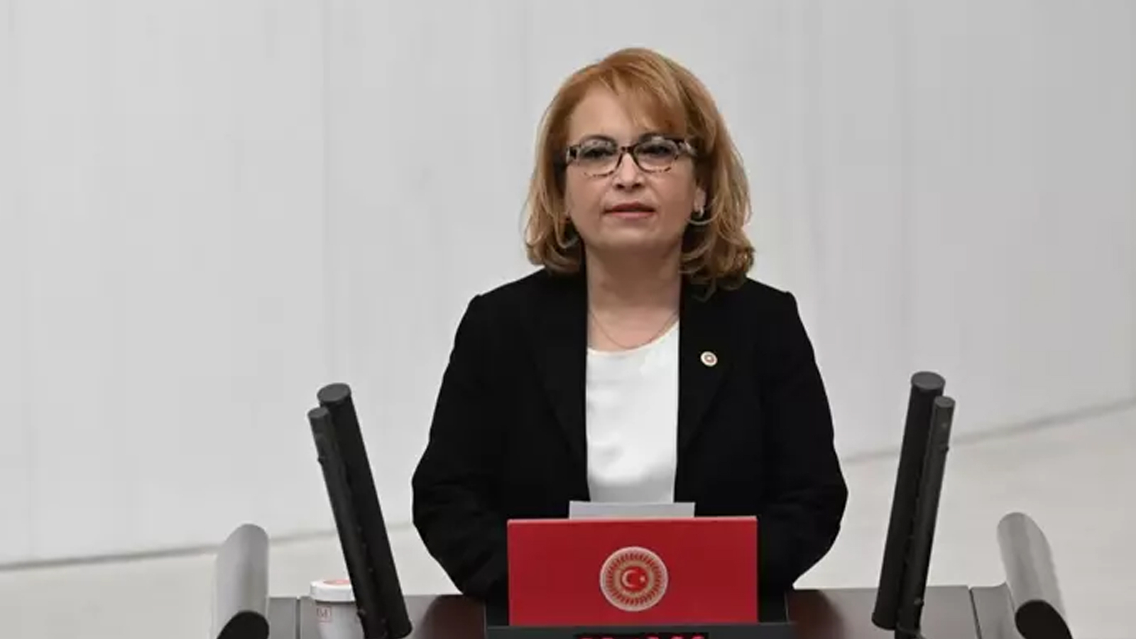 Ayşe Sibel Yanıkömeroğlu Chp