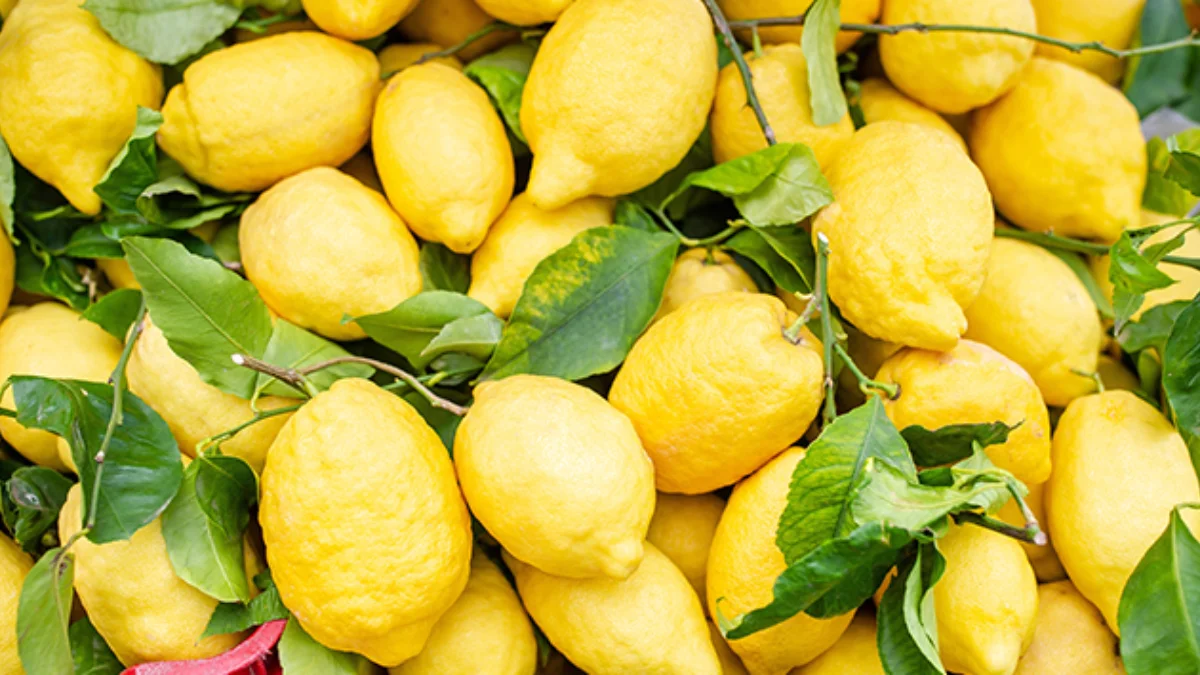 Limon1