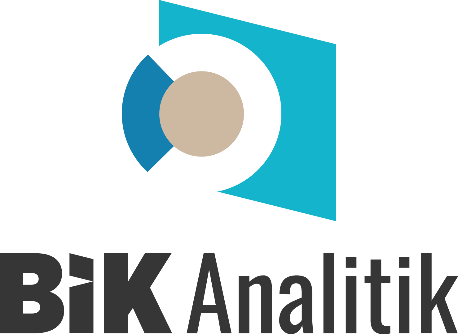 Bi̇k Analitik Logo Png (1)