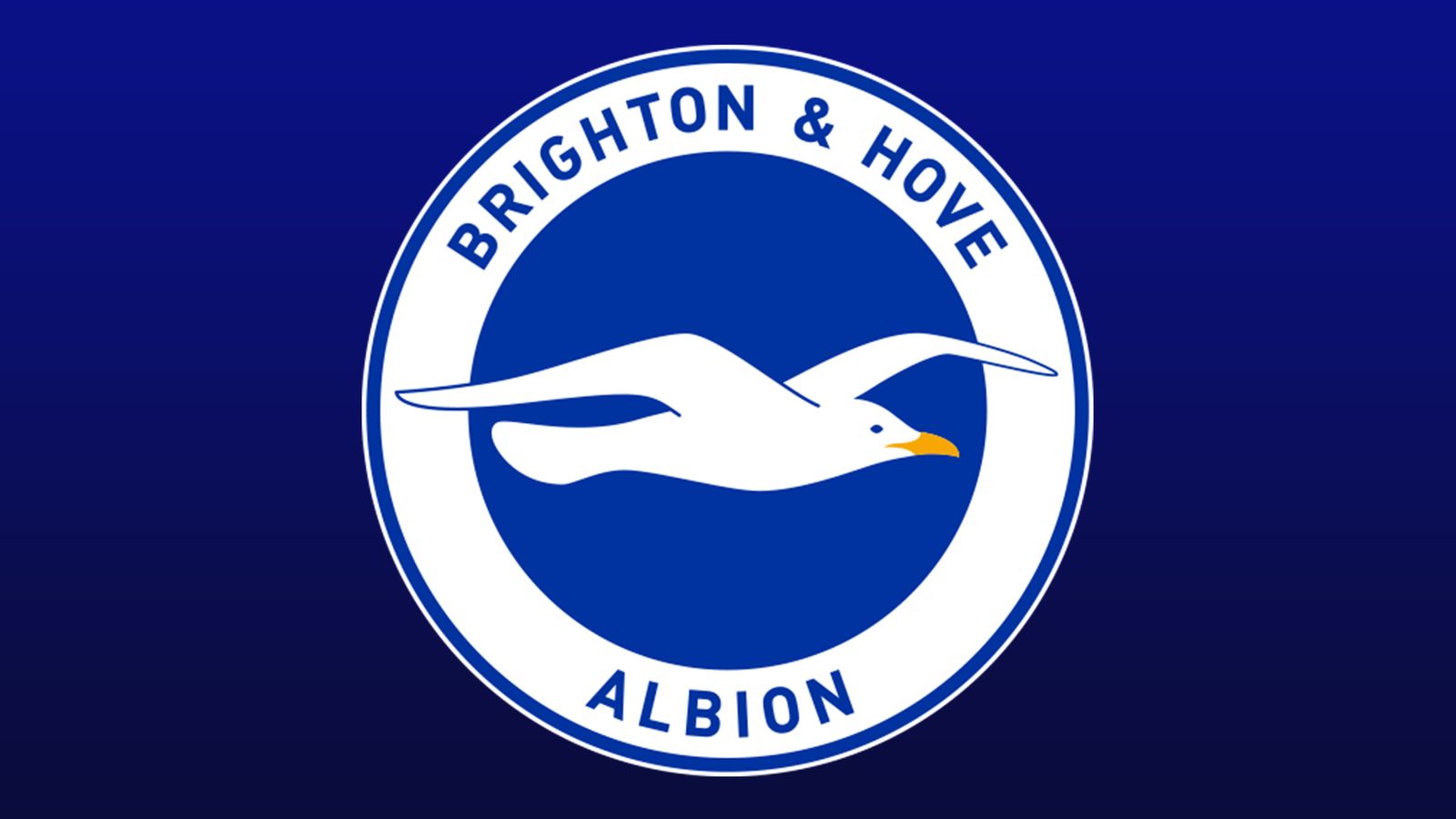 Brighton Fc