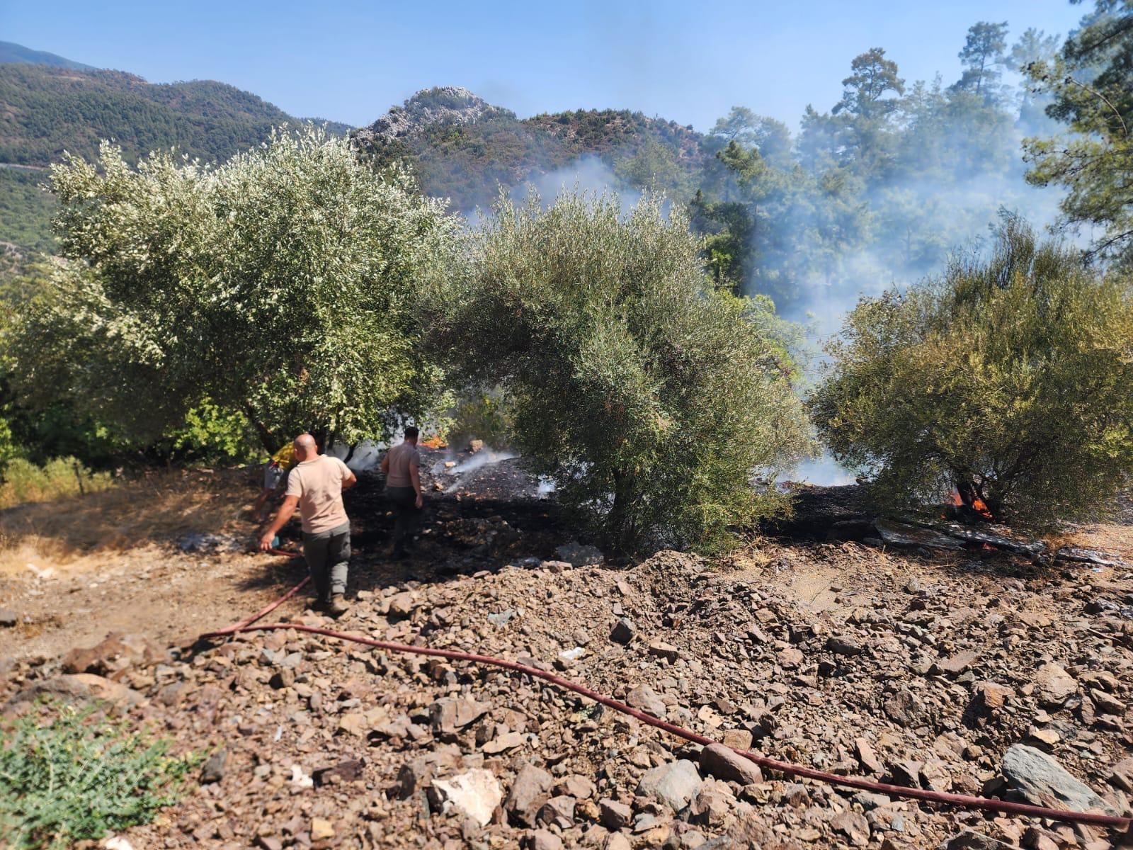 Marmaris Yangın (3)