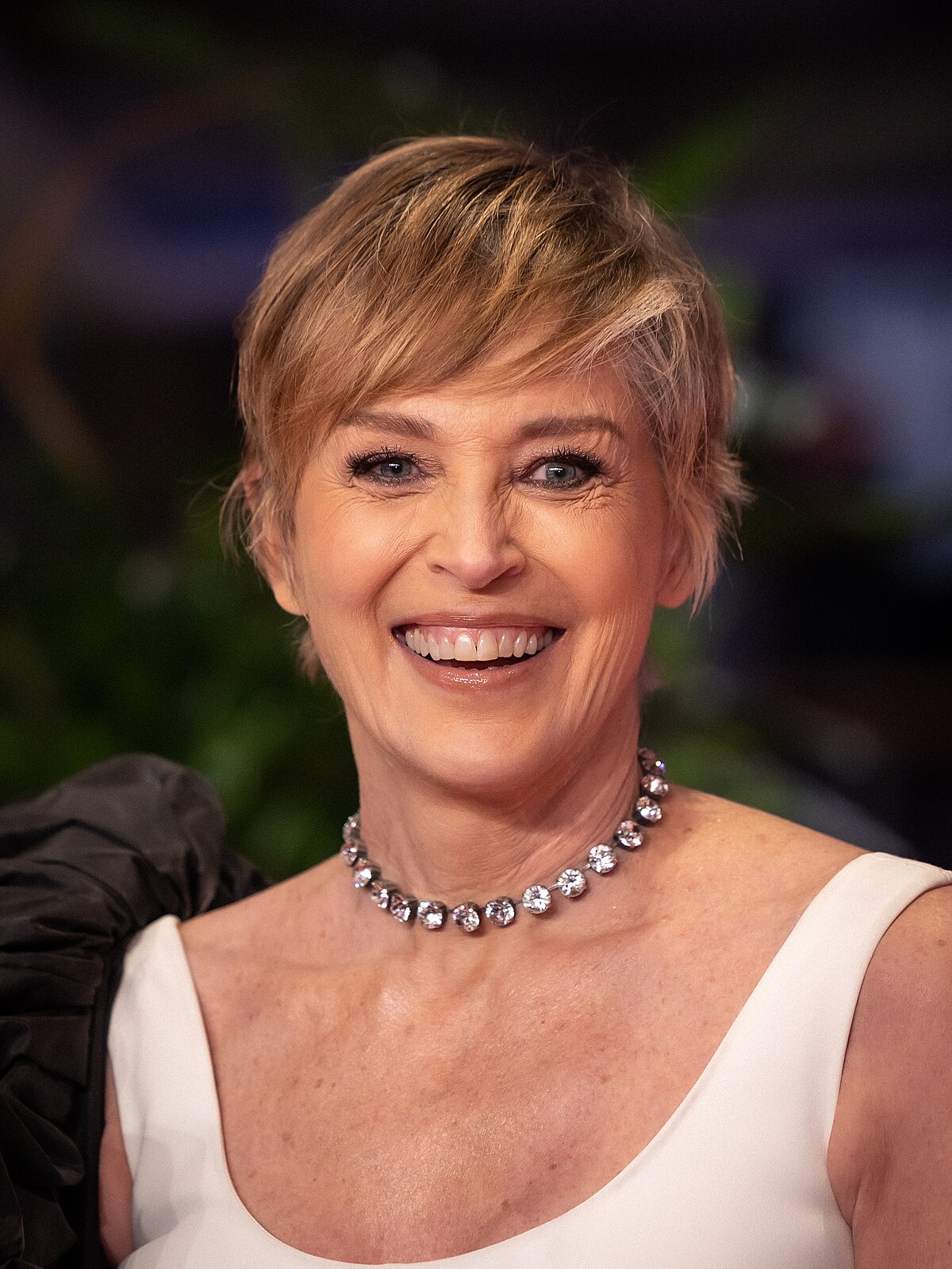 Sharon Stone 68391