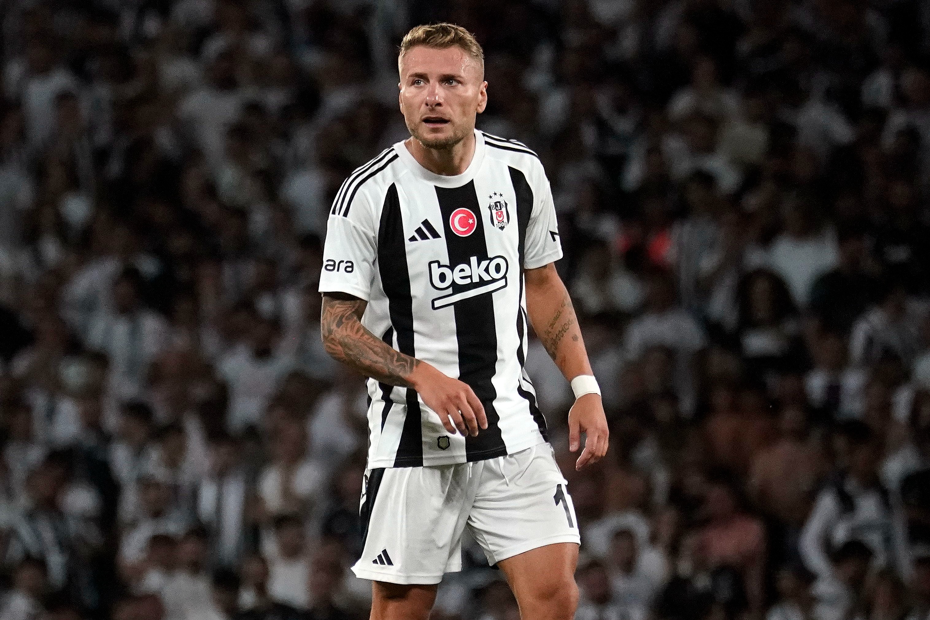 Immobile Bjk 1