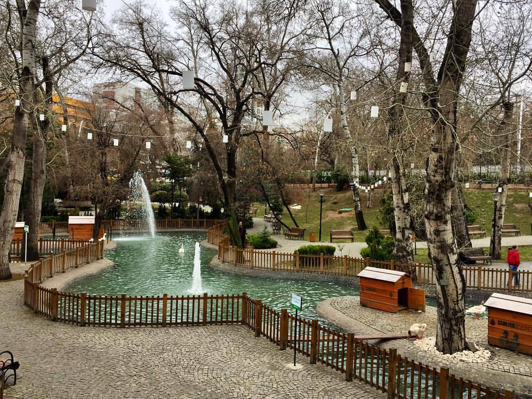 Kuğulu Park-3