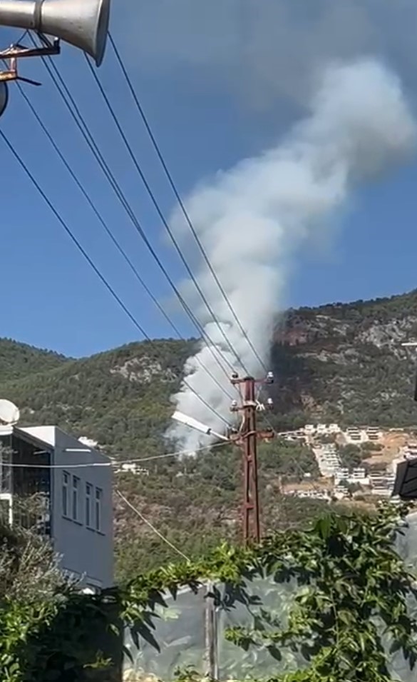 Alanya'da Orman Yangını 2