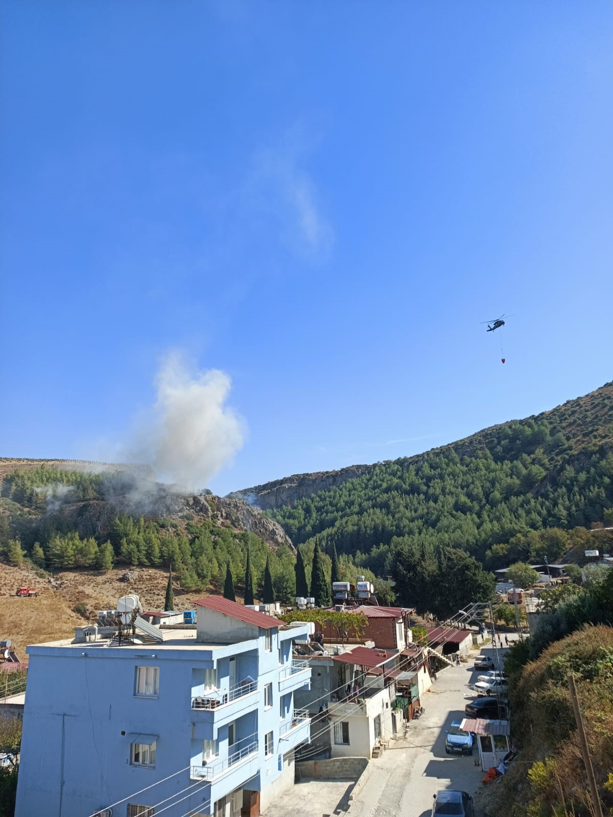 Hatay Orman Yangını (1)