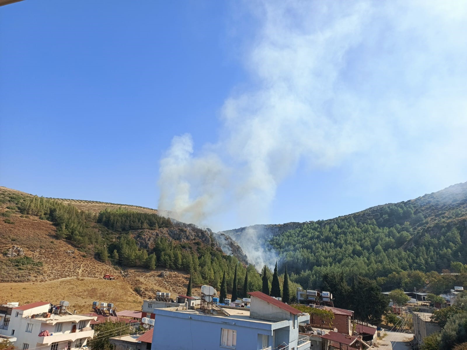 Hatay Orman Yangını (3)