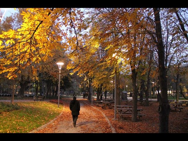 Kurtuluş Parkı Sonbahar