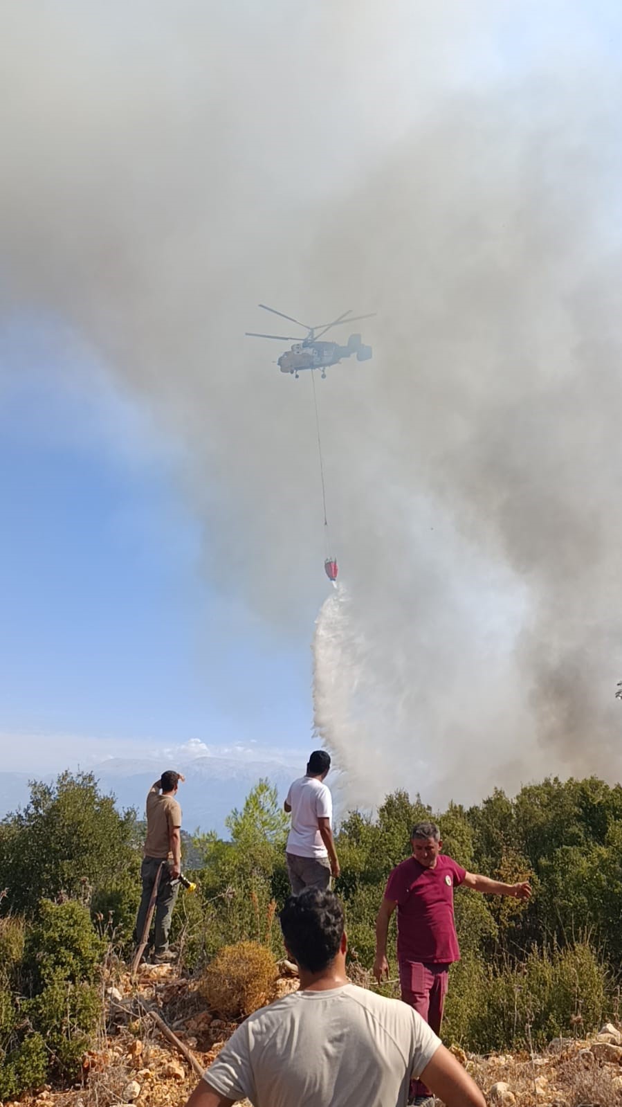 Muğla Yangın (1)