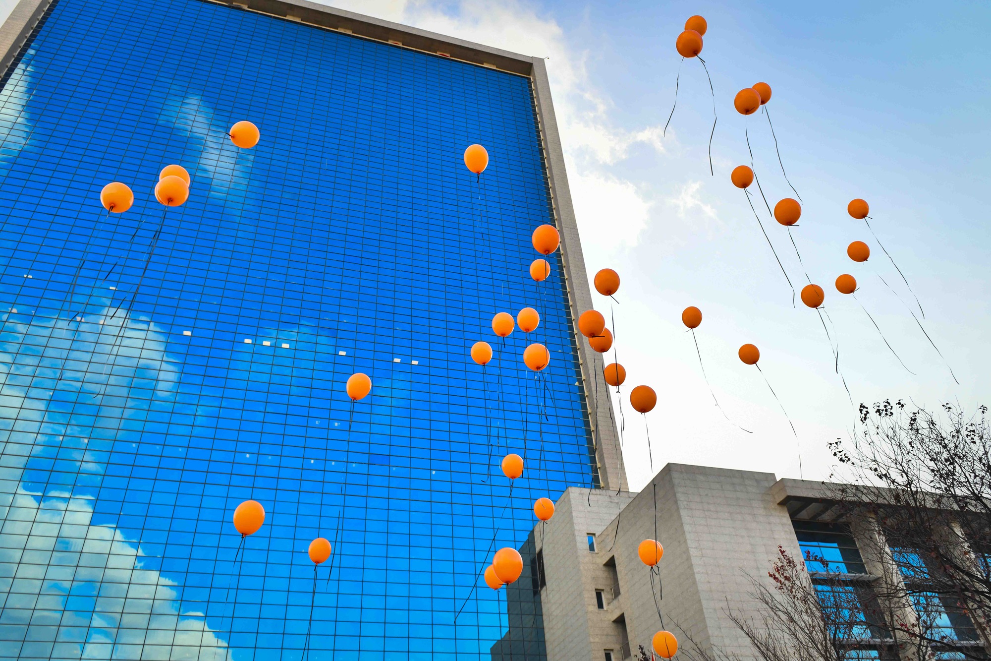 Ankara’dan Kadına Şiddete Karşı Mesaj (3)