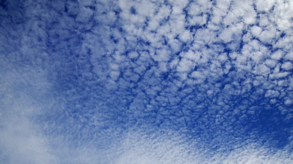 Cirrocumulus 