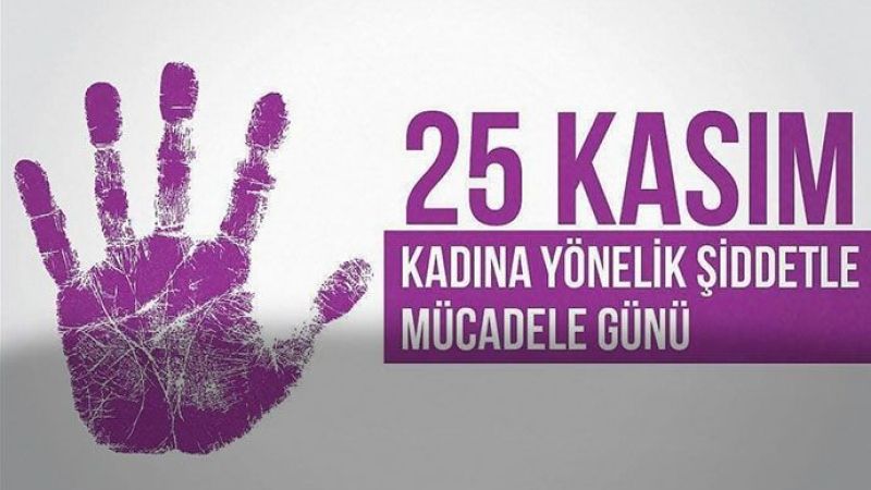 Kadına Yönelik Şiddetle Mücadele 2