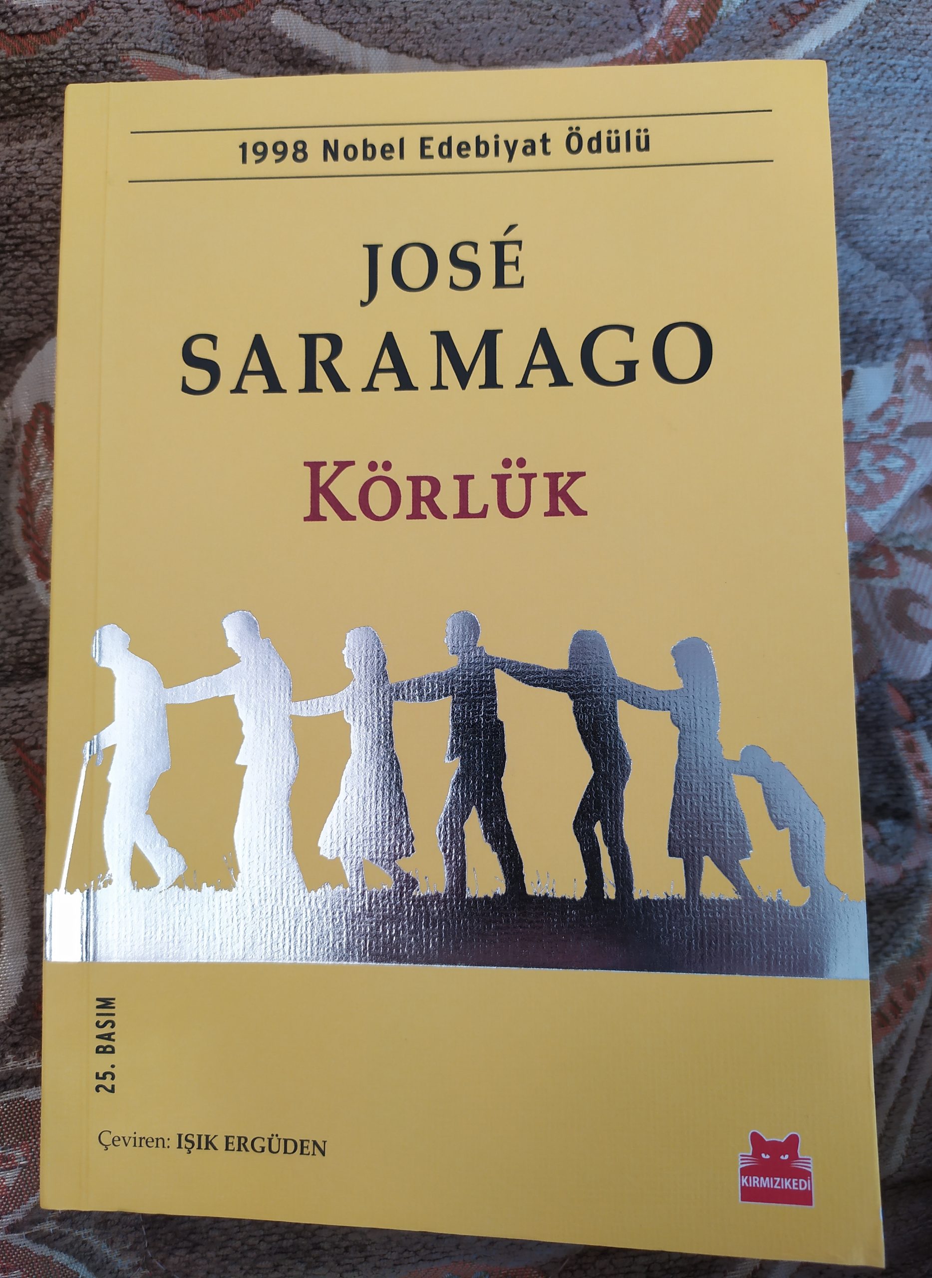 Körlük Kitap (6)